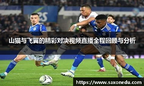 山猫与飞翼的精彩对决视频直播全程回顾与分析